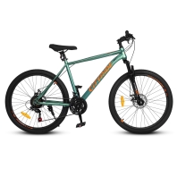 City-Ride - 26 (CR-B2-SH01)