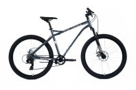 Forward - Flash 26 CX disc (2025)