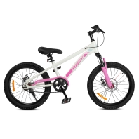 City-Ride - 20" (CR-B2-12B) City-Ride - 20" (CR-B2-12B)