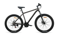 Forward - AL NX 29" disc (2026)