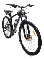 OCIMA - 29 N 916 (2025)