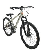 Cfeng - 24Pro310 (2025)