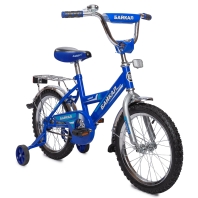 Байкал - 16 (В1603)