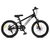 City-Ride - 20" (CR-B2-12B)