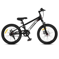 City-Ride - 20" (CR-B2-12B)