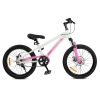 City-Ride - 20" (CR-B2-12B)