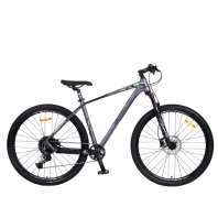 Stels - Navigator 970 D 29" V010 (2023)