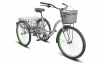 Stels - Energy VI 26" V010 (2021)